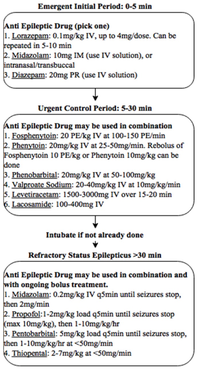 Algoritmo de manejo de status epilepticus em adulto: período emergente de 0 a 5 minutos com benzodiazepínico, controle urgente de 5 a 30 minutos e status refratário após 30 minutos.