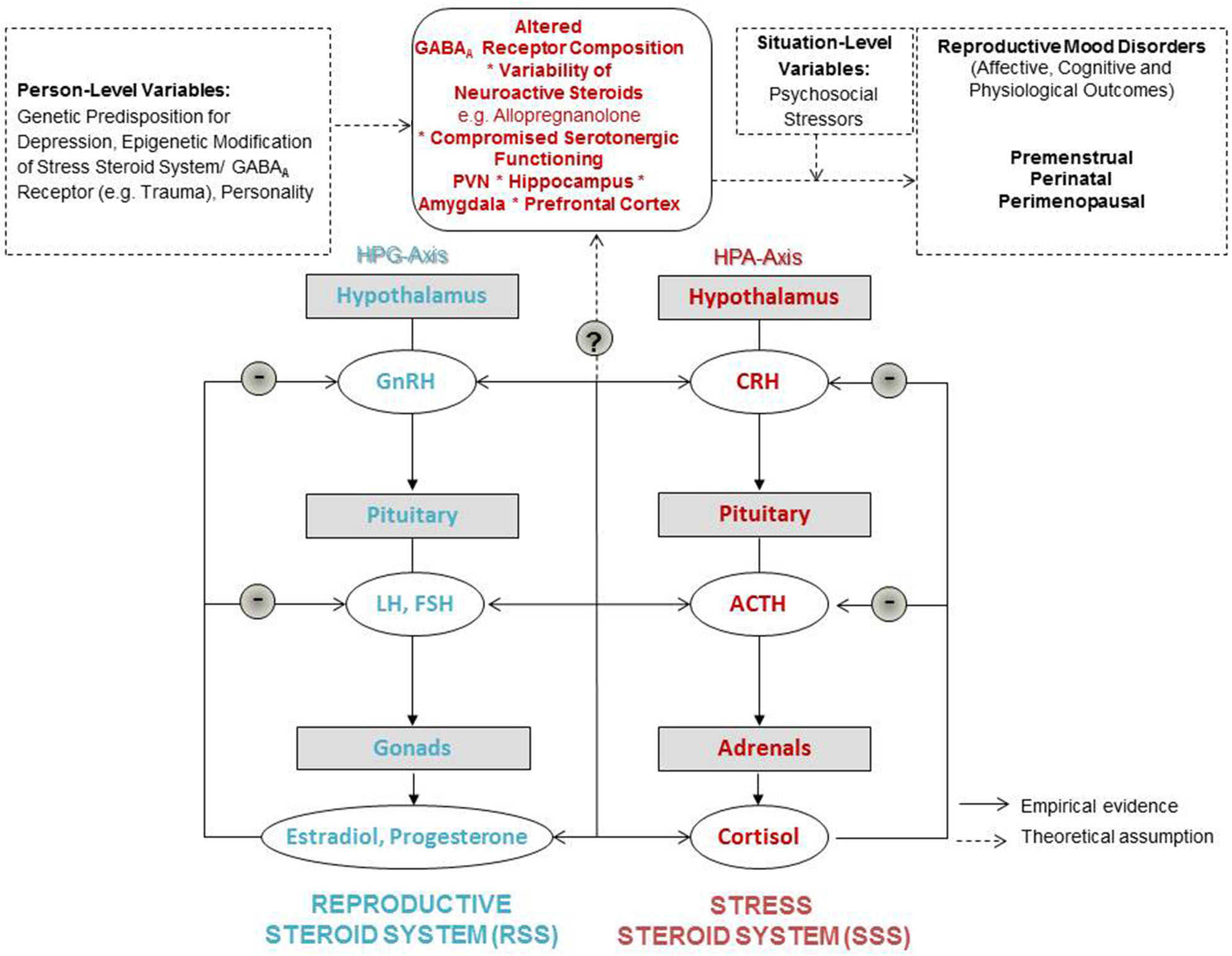 Modelo neuroendócrino em blocos: o eixo hipotálamo-hipófise-gonadal culmina em estradiol e progesterona; no bloco superior, composição do receptor GABA-A, variabilidade da alopregnanolona e função serotoninérgica comprometida; setas contínuas indicam relações apoiadas empiricamente e setas tracejadas, hipóteses teóricas.