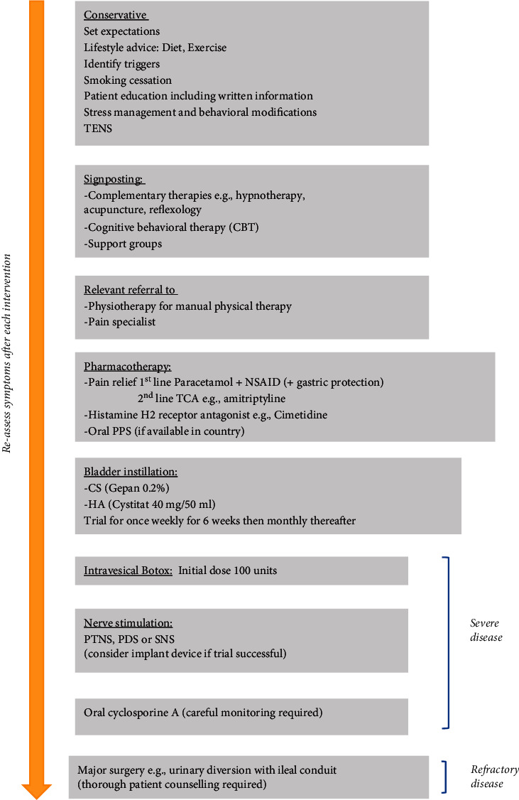 Fluxograma vertical do tratamento da síndrome da bexiga dolorosa: medidas conservadoras, suporte e fisioterapia manual, medicamentos orais, instilações vesicais, toxina botulínica, neuromodulação, ciclosporina e cirurgia maior para doença refratária.