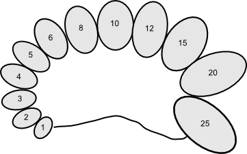 Esquema do orquidômetro de Prader isolado: o conjunto de elipsoides de volumes crescentes usados para estimar o volume testicular em mililitros.