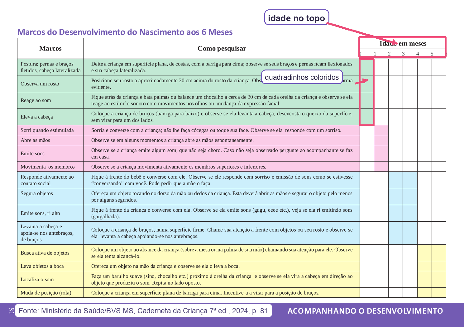 Tabela oficial da Caderneta da Criança (Ministério da Saúde) com os marcos do desenvolvimento do nascimento aos 6 meses, com a grade de idade no topo e os quadradinhos coloridos por faixa; setas de cueing apontam 